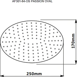 Верхний душ Aquanet Passion AF301-84-OS хром