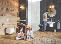 Чаша для унитаза подвесного Grohe Euro Ceramic 3920600H компактный
