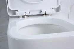 Крышка-сиденье BelBagno VENETO BB132SC