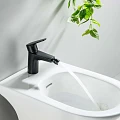 Смеситель для биде Aquatek Бетта AQ1118MB матовый черный