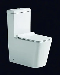 Унитаз-моноблок Golden Frog A8869 белый