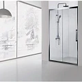 Душевая дверь в нишу Aquanet Delta 160см NPE6121 1600 профиль хром, стекло прозрачное
