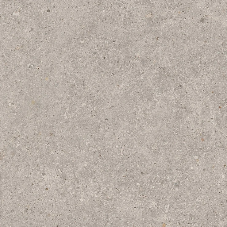 Керамогранит Kerama Marazzi Риккарди 60x60 см серый светлый матовый