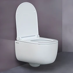 Унитаз подвесной Berges Wasserhaus Ego RR 082111RR белый глянец