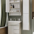Зеркало-шкаф Aquaton Рико 65 1A215202RIB90 белый, ясень фабрик