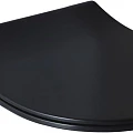 Крышка-сиденье для унитаза Allen Brau Priority 4.31004.31 черный матовый