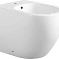 Биде напольное Aquanet Cetus 2.0 B1 белый глянец