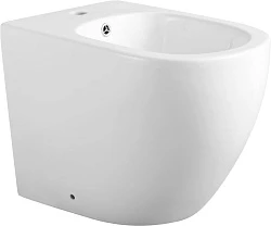 Биде напольное Aquanet Cetus 2.0 B1 белый глянец