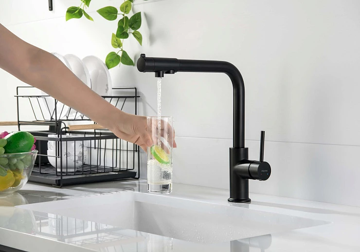 Смеситель для кухни Aquatek Европа AQ1386MB с краном для питьевой воды, матовый черный
