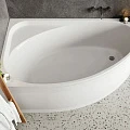 Акриловая ванна Vagnerplast Hapi 170x110 VPBA170HAP3LX-04 левая, белая глянцевая