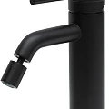 Смеситель для биде Allen Brau Priority 5.31A04-31 черный матовый
