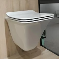 Унитаз подвесной Golden Frog LT054E-R белый