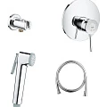 Гигиенический душ Grohe BauClassic 124901 со смесителем, хром