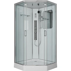 Душевая кабина Niagara Premium 100х100см NG-6002-01GD профиль хром
