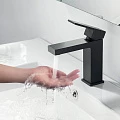 Смеситель для раковины Timo Selene 2061/03F черный матовый
