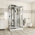 Душевая кабина Niagara Luxe 120х82см NGL-7713W L профиль серебро