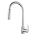 Смеситель для кухни Bravat ARDEN F7362395CP-ENG хром