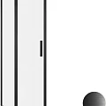 Душевая дверь в нишу Allen Brau Priority 90x200 см 3.31027.BBA профиль черный, стекло прозрачное