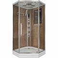 Душевая кабина Niagara Luxe 100x100см NGL-7717WD профиль серебро