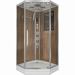 Душевая кабина Niagara Luxe 100x100см NGL-7717WD профиль серебро