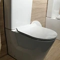 Унитаз-компакт Golden Frog LT-2149A-R белый