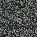 Керамогранит Kerama Marazzi Палладиана 119,5x238,5 см черный декорированный лаппатированный Керамогранит Kerama Marazzi Палладиана 119,5x238,5 см черный декорированный лаппатированный