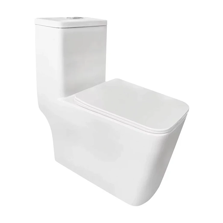 Унитаз-моноблок Golden Frog GF-8616 белый