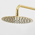 Душевая стойка Wasserkraft Sauer A17101 золото глянцевое