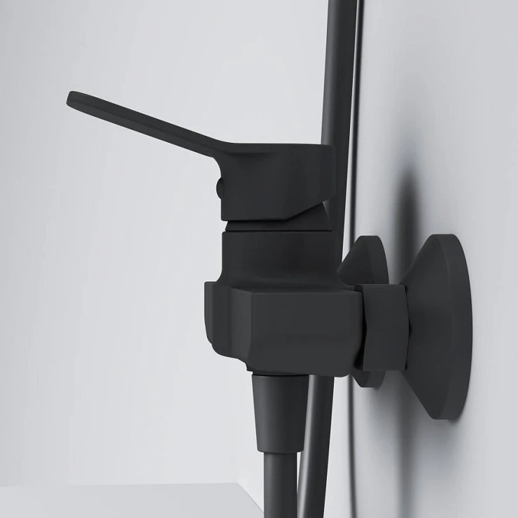 Душевая стойка AM.PM X-Joy F42885A24 со смесителем, черный Душевая стойка AM.PM X-Joy F42885A24 со смесителем, черный