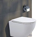 Унитаз подвесной Avimano Emotion 1001010 белый глянец