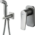Гигиенический душ Lemark Bronx LM3719GM со смесителем, графит