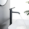 Смеситель для раковины Aquatek Европа AQ1304MB матовый черный