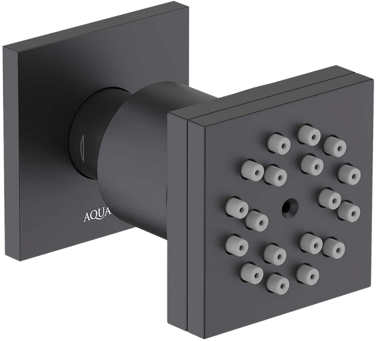Душевая форсунка Aquatek AQ2098MB матовая черная