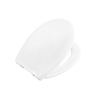 Крышка-сиденье BelBagno BB2020-1SC
