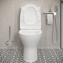 Унитаз-компакт Damixa Luna DX46C8600SC белый глянец