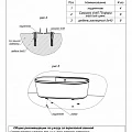 Акриловая ванна BelBagno 178х84 BB14-K белая глянцевая