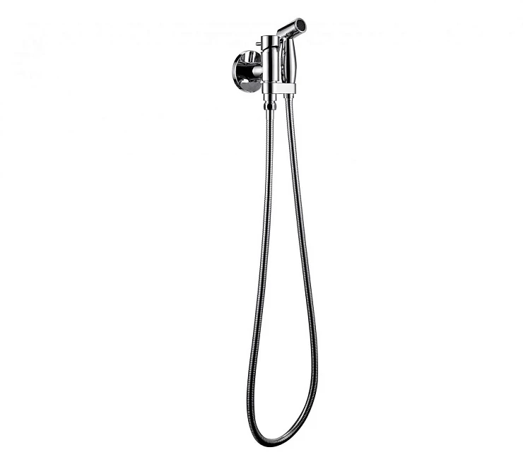 Гигиенический душ Bravat Eler D9137CP-RUS со смесителем, хром