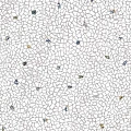 Керамогранит Kerama Marazzi Палладиана 119,5x238,5 см серый светлый декорированный лаппатированный Керамогранит Kerama Marazzi Палладиана 119,5x238,5 см серый светлый декорированный лаппатированный